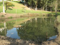 /album/galeria-de-fotos/tanque%20-%20cria%c3%a7%c3%a3o%20de%20peixes-jpg/